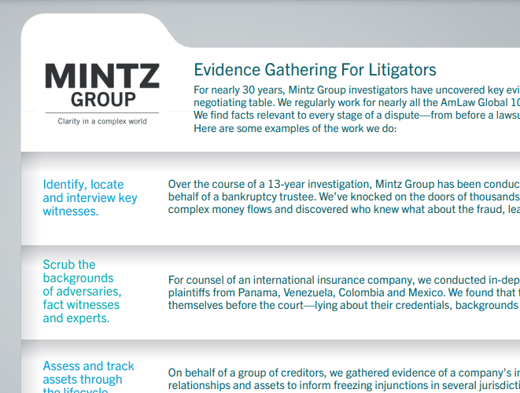 Mintz Newsletter Fact Gathering for Litigators-1